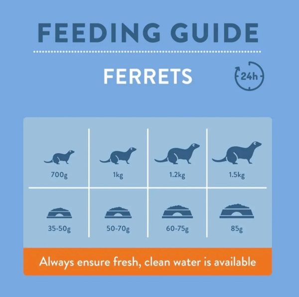 Burgess Excel Ferret Nuggets 2kg - Image 3